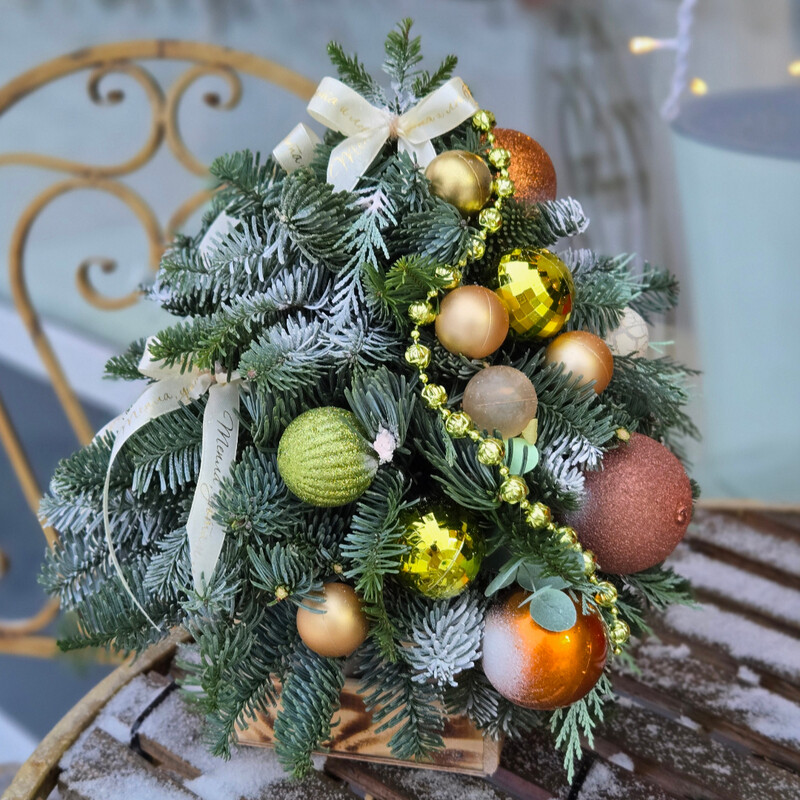 Елка нобилис, стандартный