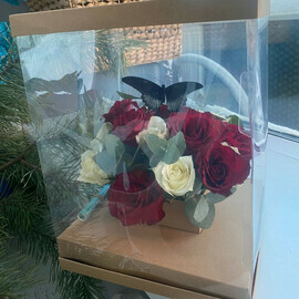 Kompozitciya s zhivoj babochkoj