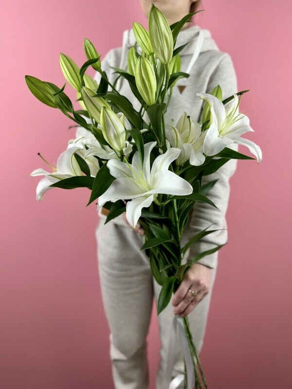 Liliya 5 vetok, mono buket