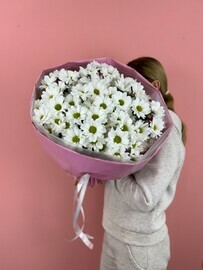 Mono buket iz romashek rozovaya konfetka 9 vetok