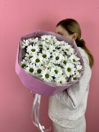 Mono buket iz romashek rozovaya konfetka 7 vetok