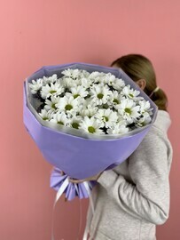 Mono buket iz romashek sirenevaya konfetka 7 vetok
