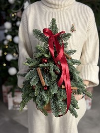 Рождественская красавица