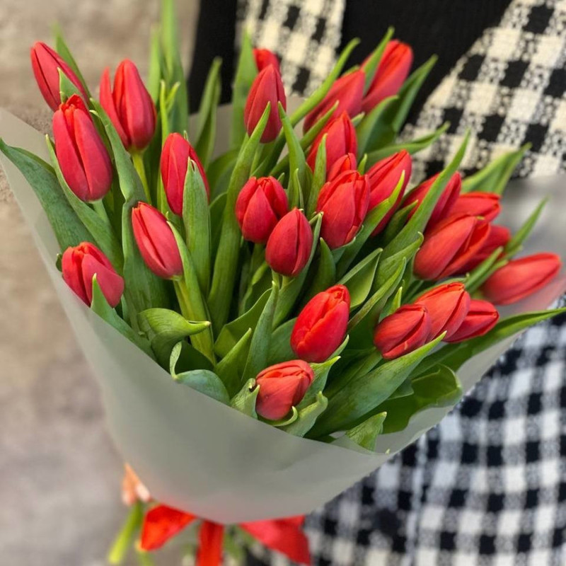 Tulips, standart