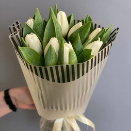 White tulips