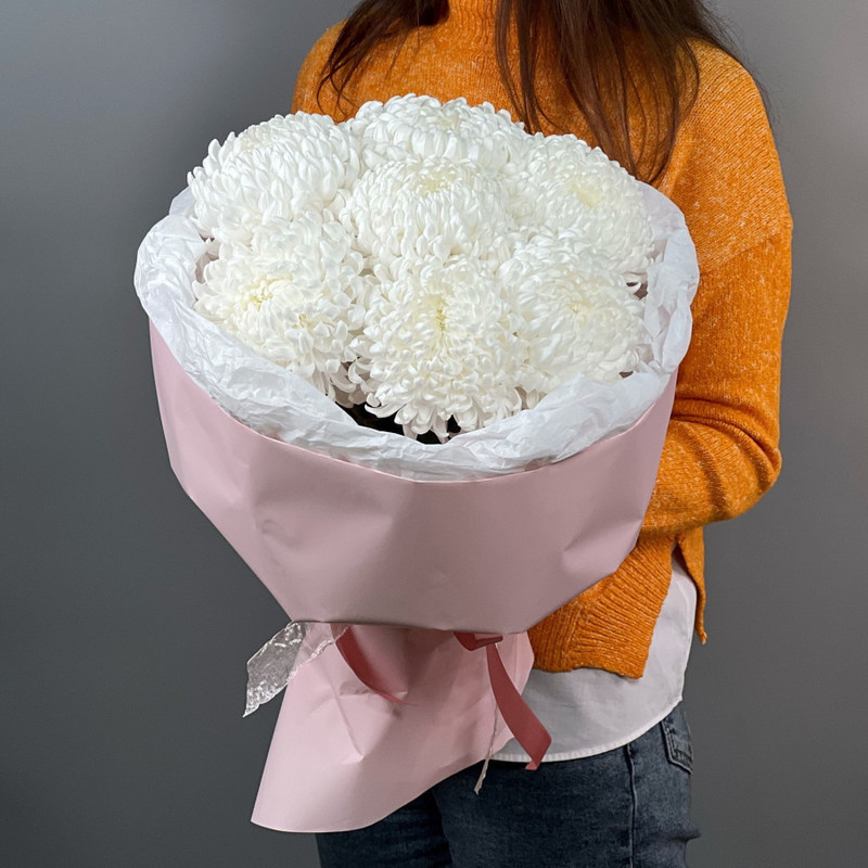 Buket iz 7 odnogolovih hrizantem: Vau!, standart