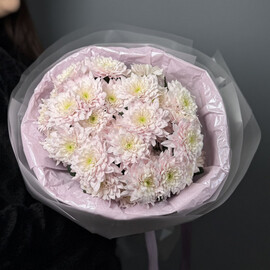 Монобукет с хризантемой "Малиновая конфетка"