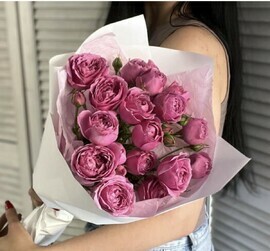 Куставих пионавидник роз Мисти  Баблс