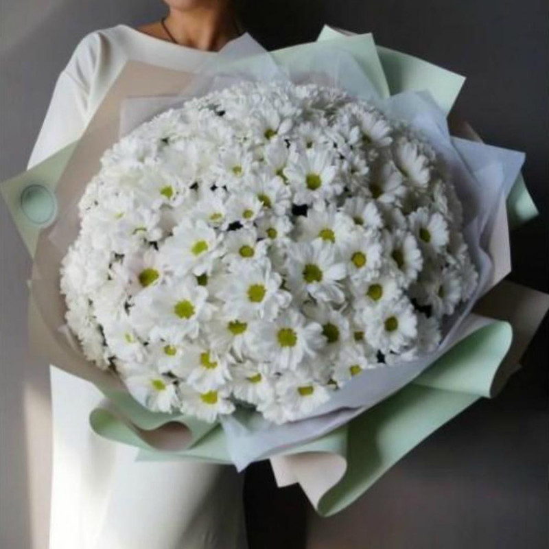 Buket iz hrizantem 24, standart