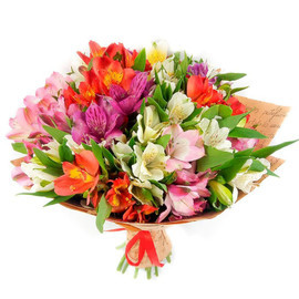 Al_stromerii v krafte