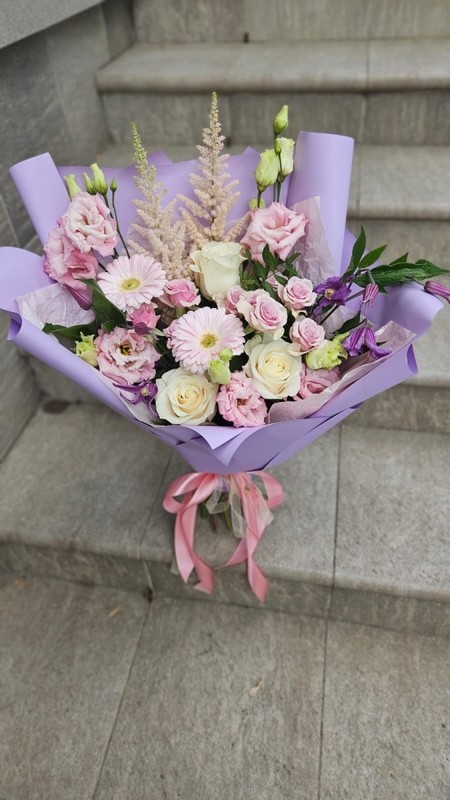 Моя мечта, стандартный