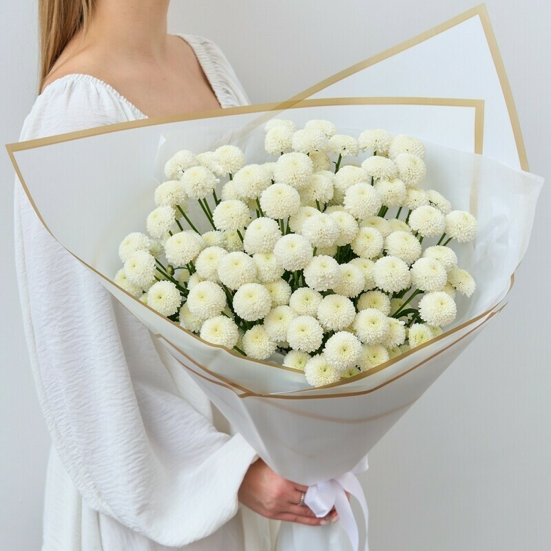 Белые Хризантемы Сантини, стандартный