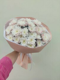 Mono buket persikovoj hrizantemi.