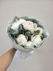 Нежные пионы