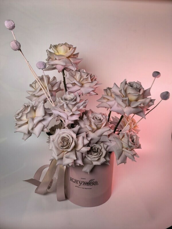 Французская роза, стандартный