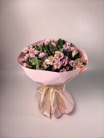 нежные ромашки