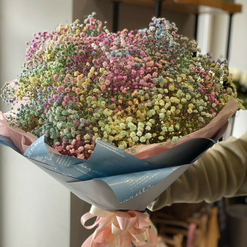 Радужное Облако, стандартный