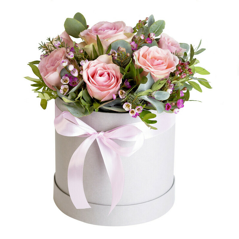 Нежность в Коробке, стандартный