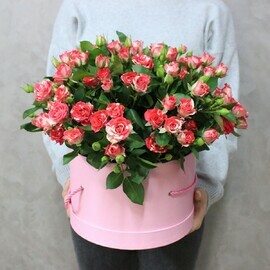 Шляпная коробка №29