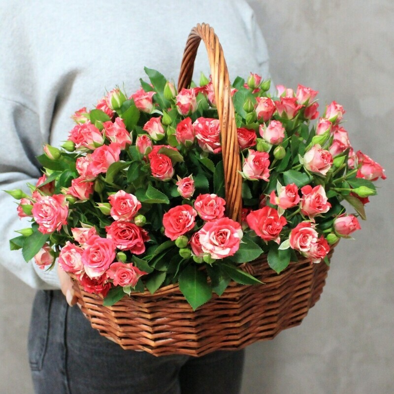 Korzina №14, standart