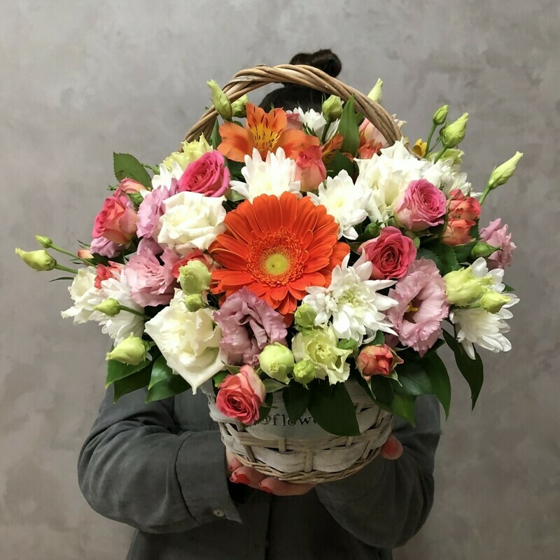 Korzina №17, standart