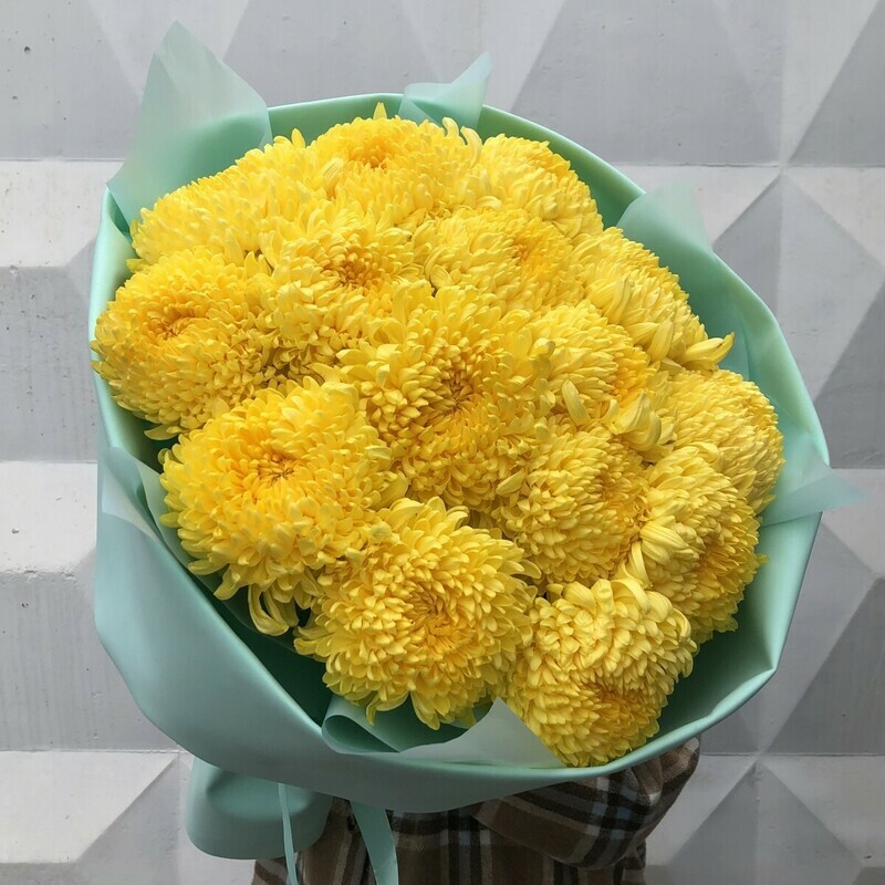 Осень Зима №8, стандартный