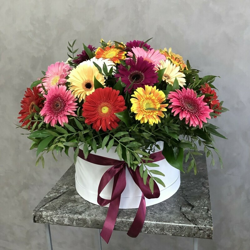 SHlyapnaya korobka №27, standart