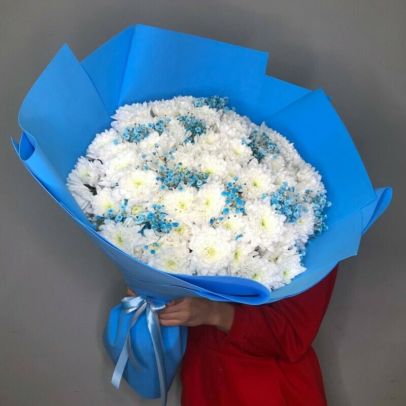 Osen_ Zima №11, standart