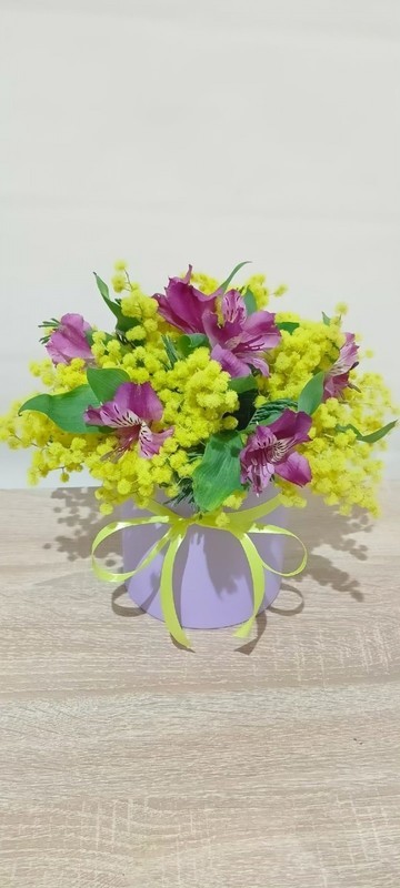 Яркая Мимоза № 5, стандартный