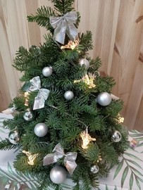 Novogodnyaya kompozitciya № 47