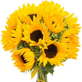 Летнее солнце