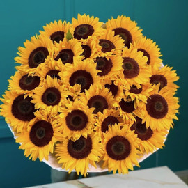 Желтый горизонт