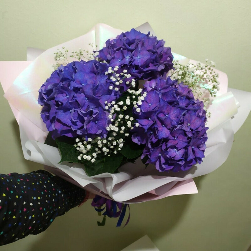 Fialkovij blesk..., standart