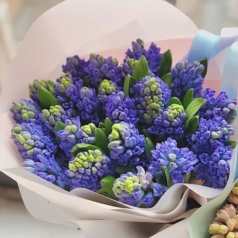 Buket iz Giatcintov № 2, standart