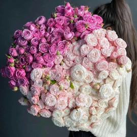 Prekrasnaya Raduga...