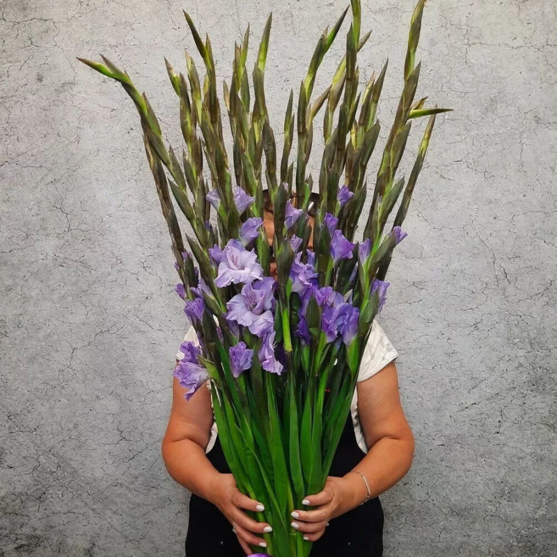 «Лепестки счастья», стандартный