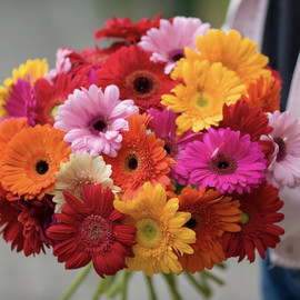 «Тропическая Страсть»