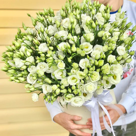 Buket s Liziantusami № 11