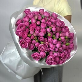 Мелодия сердца