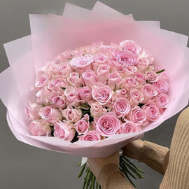 Сейчас или никогда