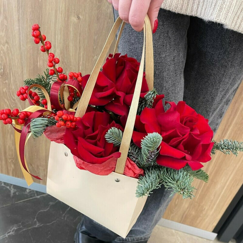 Sumochka «Zimnyaya skazka», standart