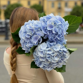 Buket "Oblako lyubvi"