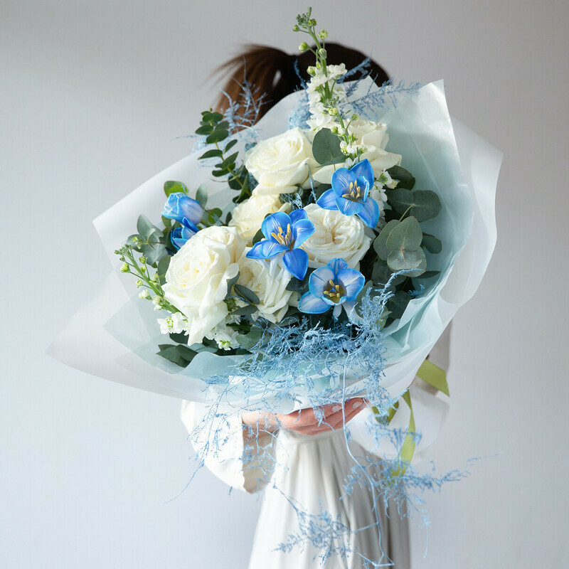 Исландия, стандартный