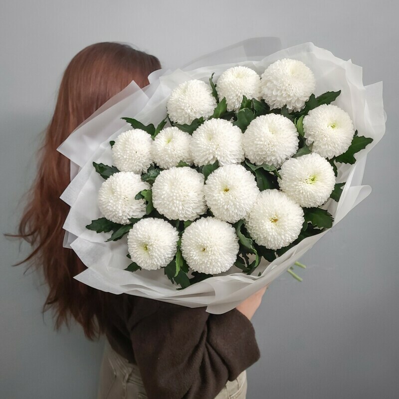 15 belosnezhnih hrizantem Superboul, 15 belosnezhnih hrizantem superboul