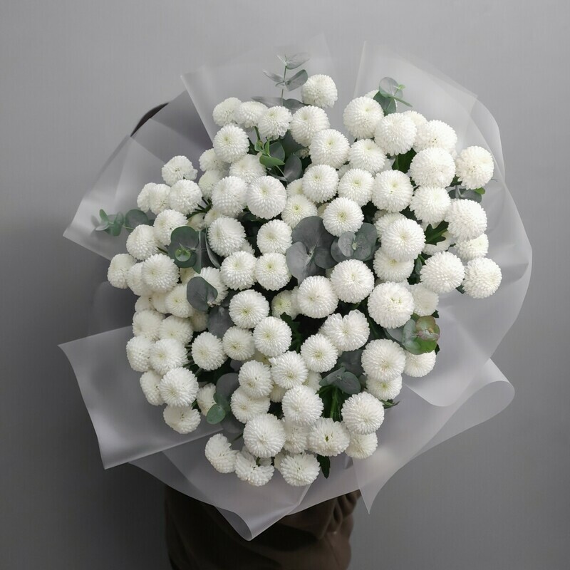 Coconut 15 с эвкалиптом, стандартный