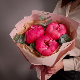 3 отборных пиона Корал Шарм с эвкалиптом