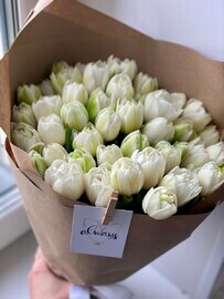 Buket iz 51 belih pionovidnih tyul_panov