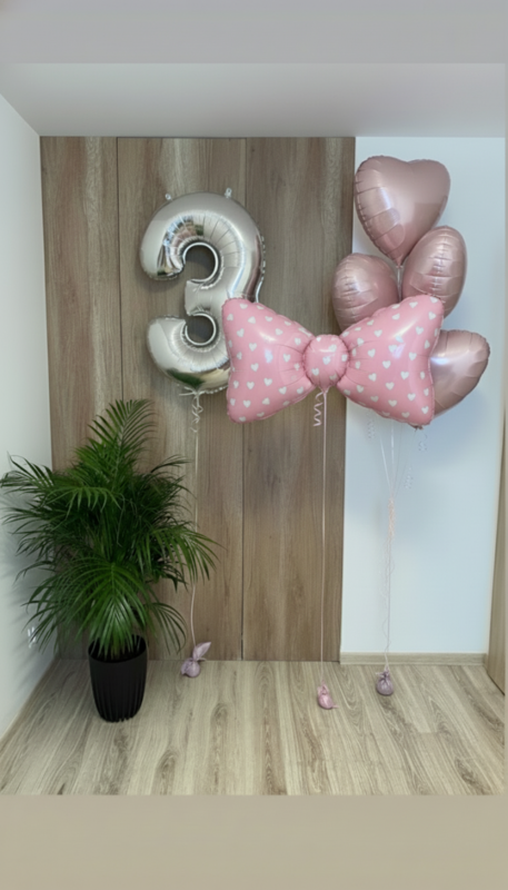 Set sharikov na den_ rozhdeniya devochki, standart