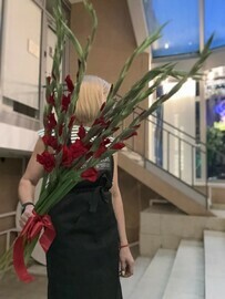 5 гладиолусов 