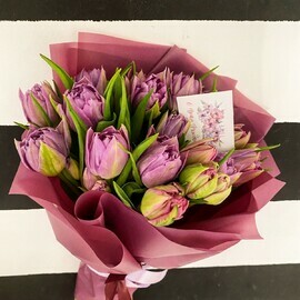 19 mahrovih tyul_panov